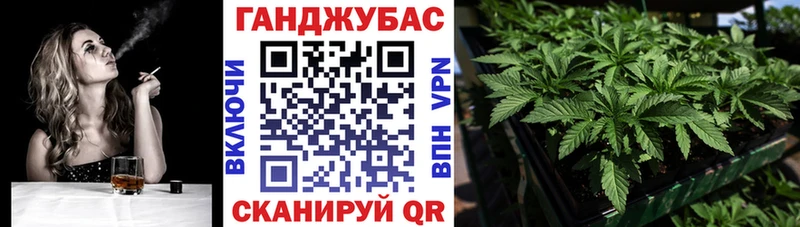 Каннабис индика Дагестанские Огни